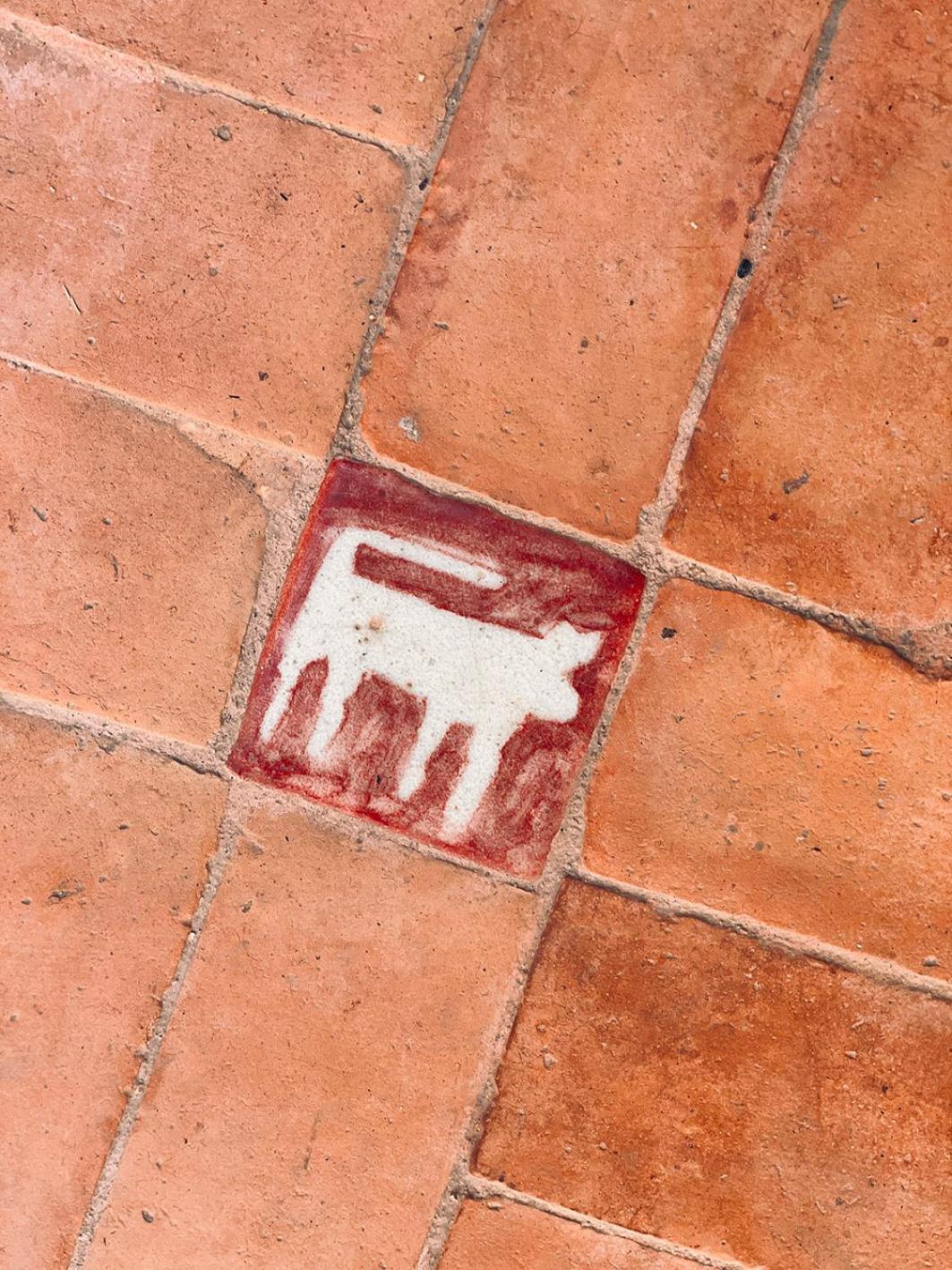 Riyad Lion Rouge Marrakesh Esterno foto
