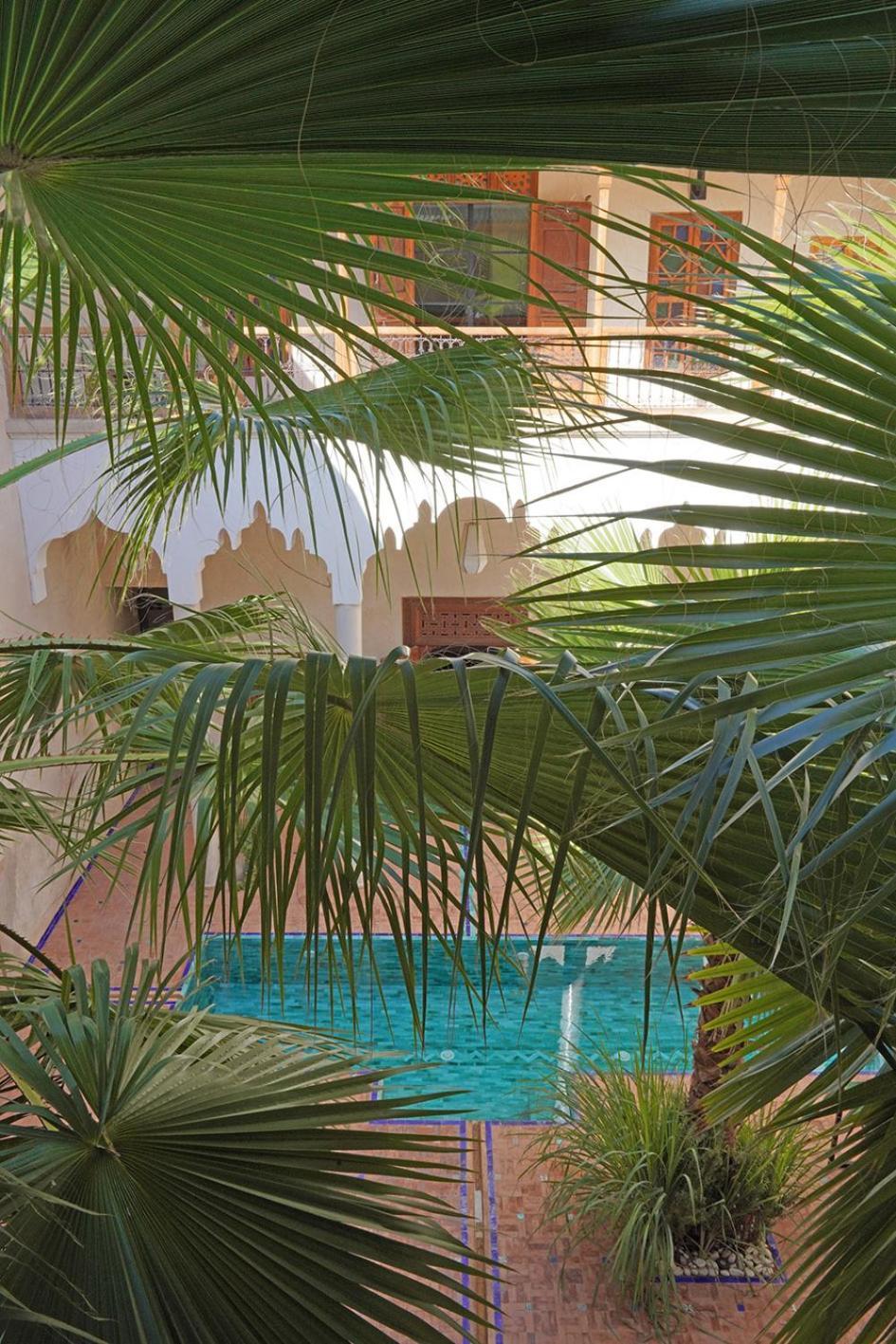Riyad Lion Rouge Marrakesh Esterno foto